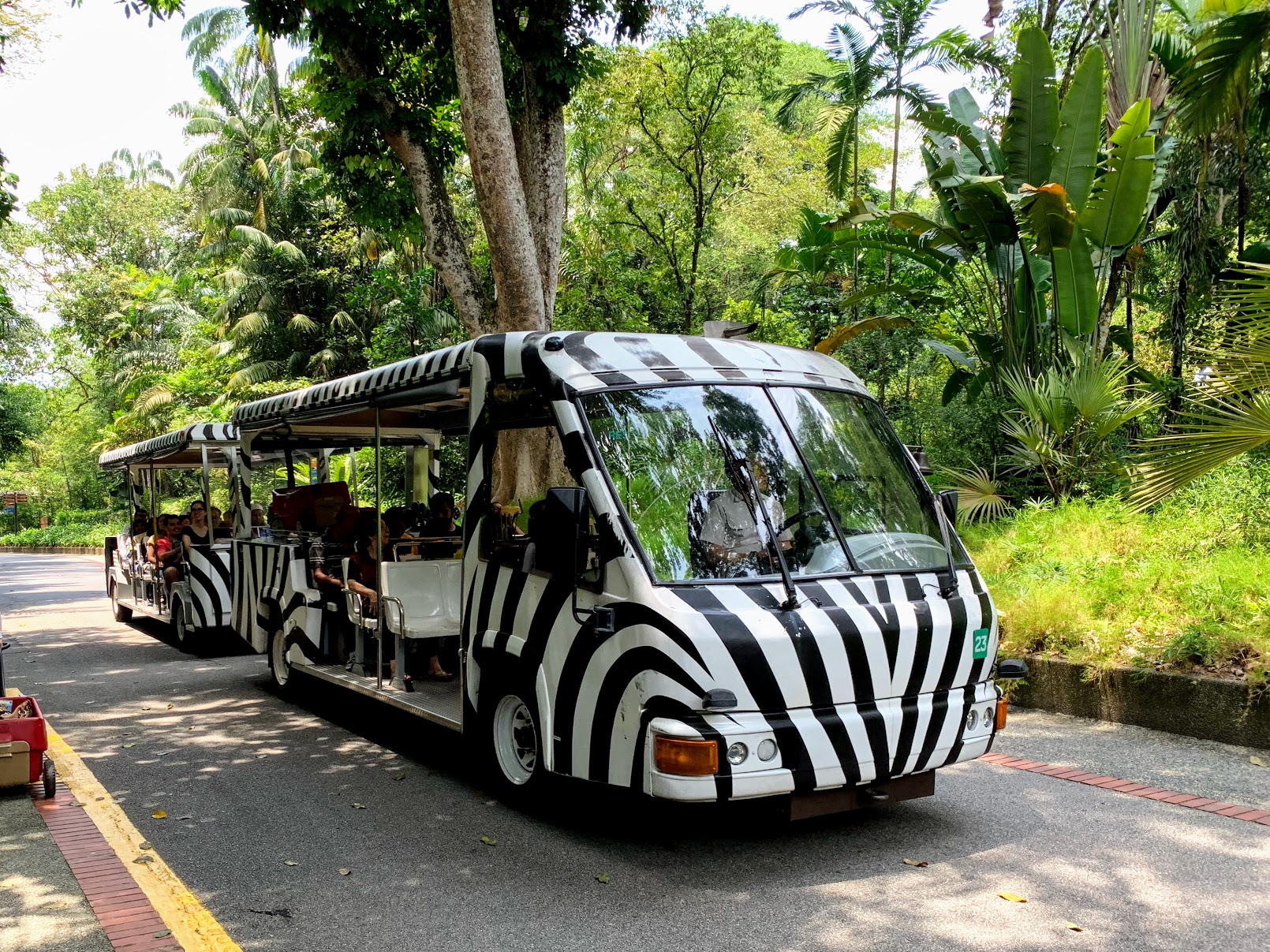 シンガポール動物園のトラムはベビーカーOK！現地で調査してきた
