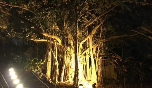 シンガポール植物園：世界遺産の夜景は観光におすすめなのか？