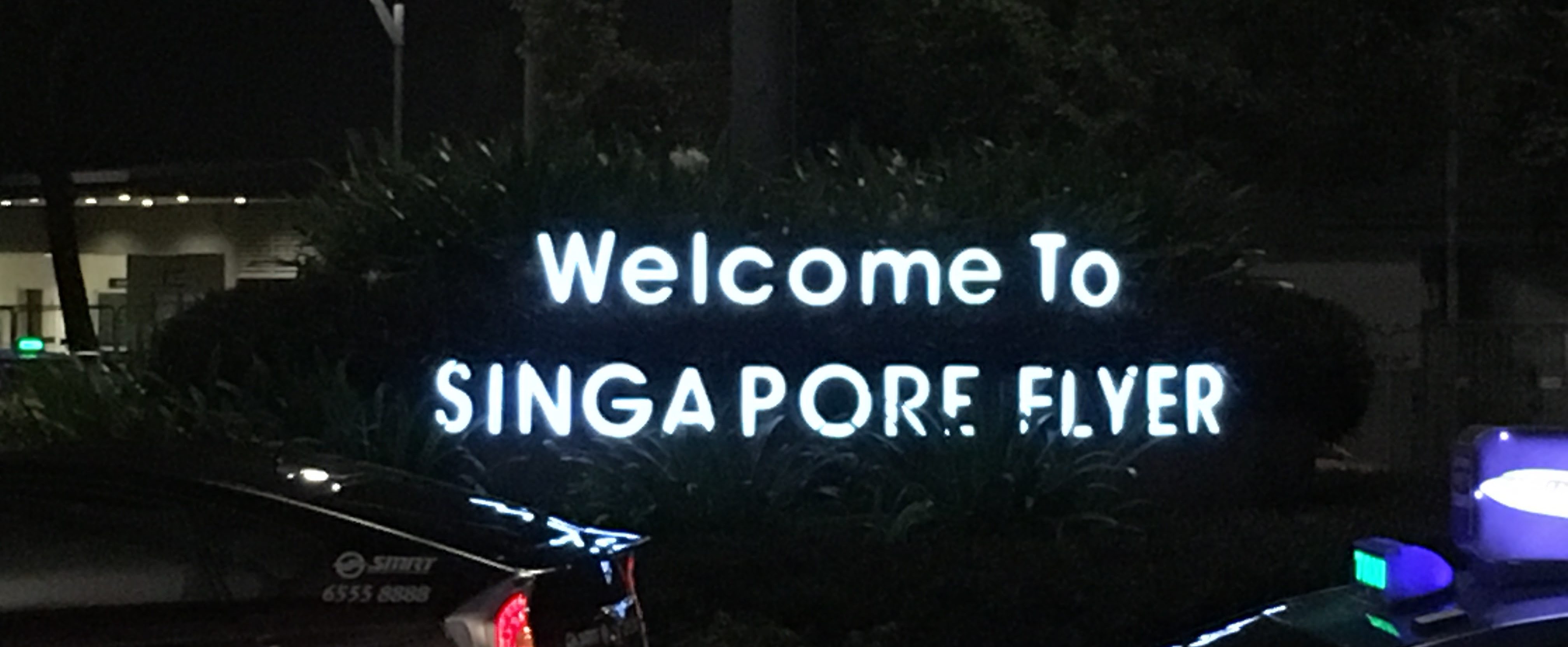 シンガポールフライヤーの料金、ディナー、お土産を普通にまとめ