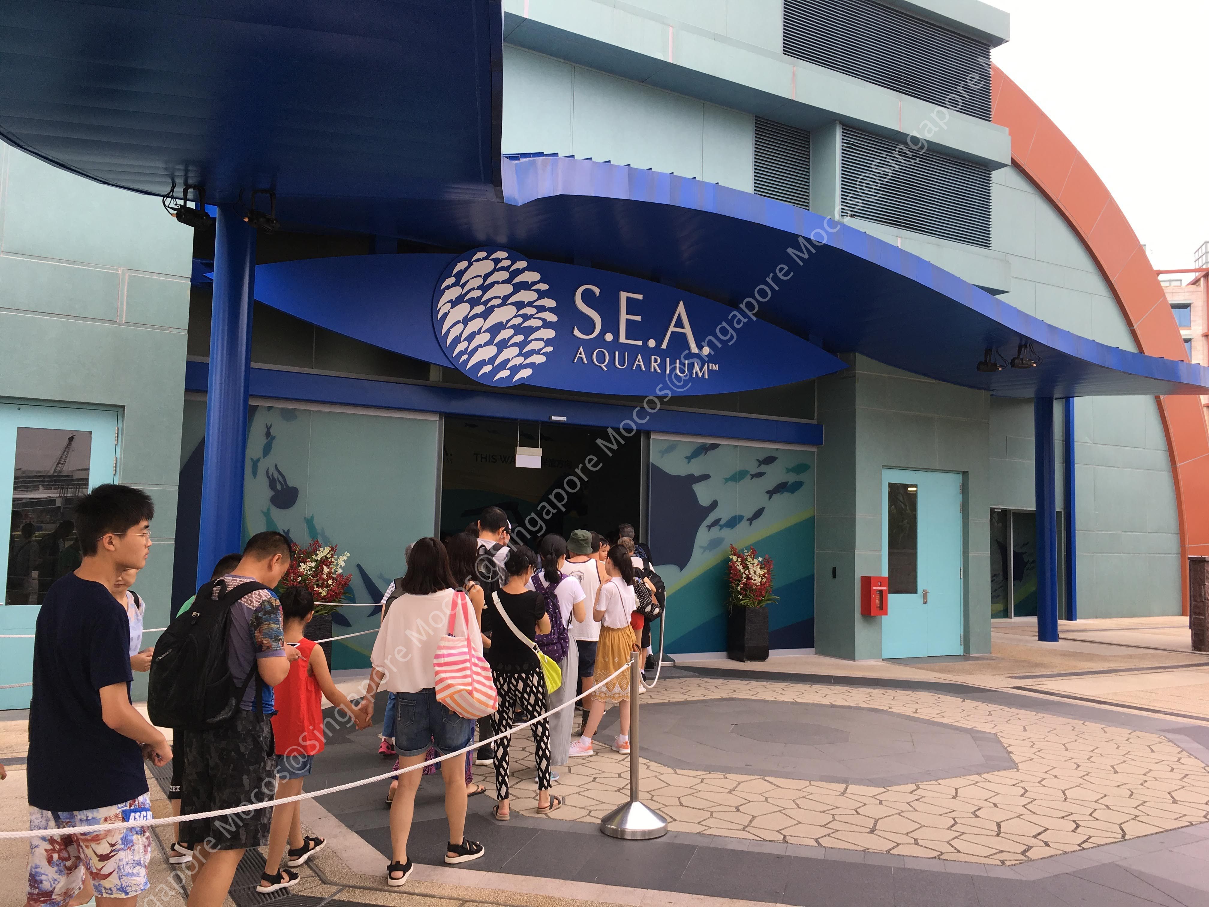 セントーサ島シーアクアリウム(水族館)への行き方 | もこす＠シンガポール