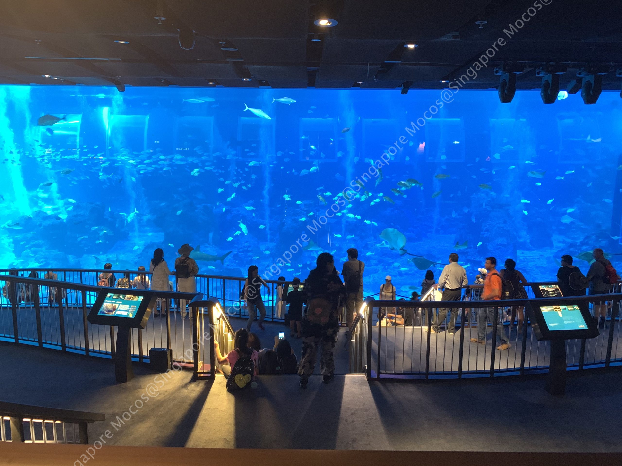 inuinu様　①②シーグラスアート　水族館　アクアリウム シーグラスアート❣️オーダー受付❣️ 「アクアリウム 海 水族館