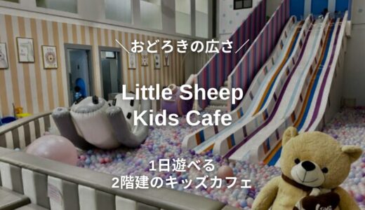 【Little Sheep Kids Cafe（リトルシープキッズカフェ）】キッズカフェ超えの広さ！1日遊べる2階建キッズカフェ