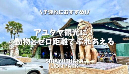 【アユタヤ観光】見るだけじゃない！動物とゼロ距離でふれあえる動物園＠SRIAYUTHAYA LION PARK（シーアユタヤライオンパーク）