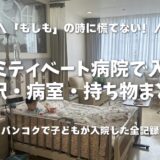 【バンコクで子供が入院】日本人御用達サミティベート病院での全記録。費用・日本語通訳・持ち物リストまで